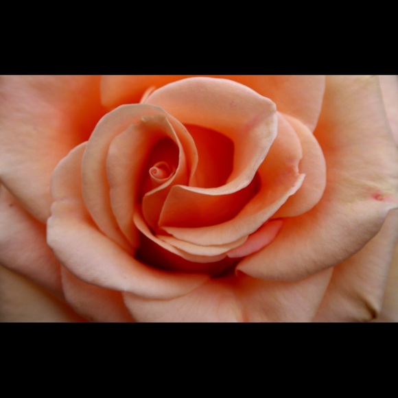 Meet your Posher, Karinna - Picture 1 of 1